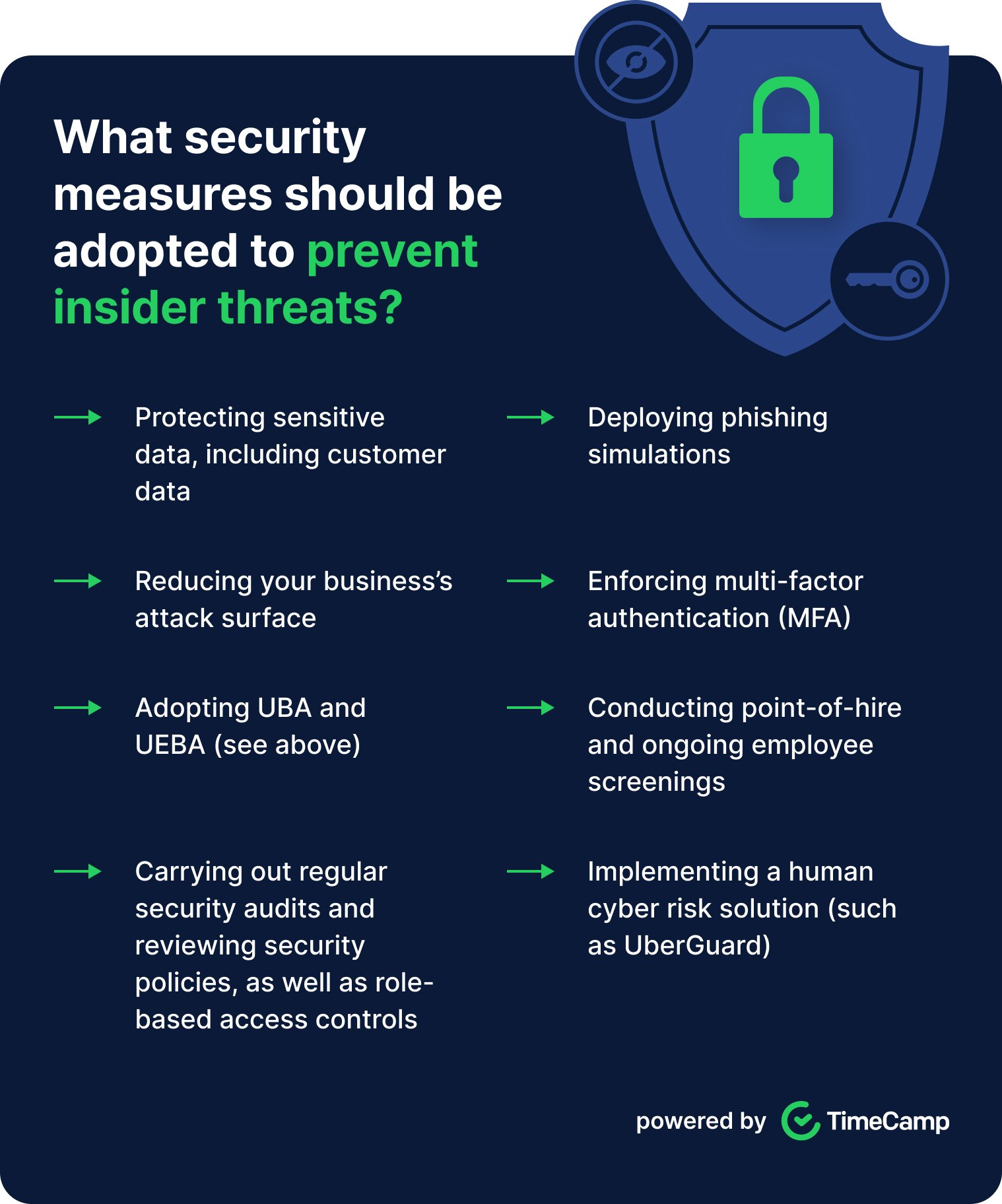 an infographic presenting security measures against insider threats